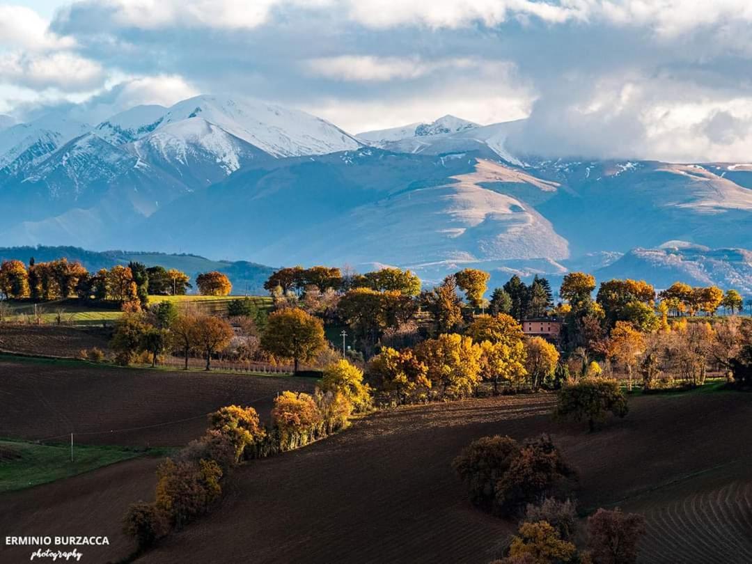 Вилла Da Foschetta Мателика Экстерьер фото